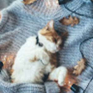 Meet your Posher, Raquel